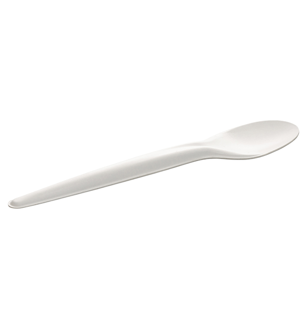 GRANDE CUILLERE PAPIER | 17 CM