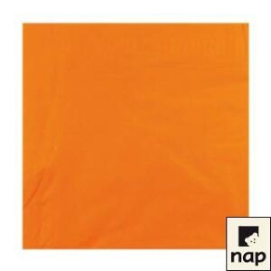 SERVIETTES COCKTAIL 2 PLIS MANDARINE 20x20 CM