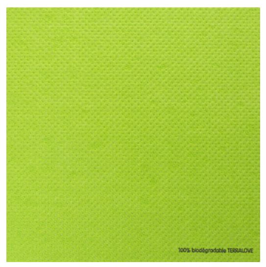 SERVIETTE TERRALOVE CHLOROPHYLLE 40x40 CM