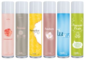AEROSOL PUSH 300ml
