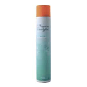 AEROSOL DESTRUCTEUR D'ODEUR | 500ml