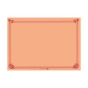 SET PAPIER LISERET SAUMON 31/43CM
