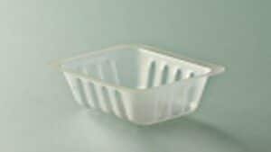 BARQUETTE FRITES 125GR | TRANSLUCIDE
