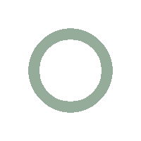 Flat Preloader Icon