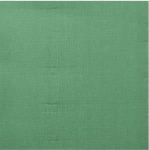 SERVIETTE CELIOUATE VERT AMANDE