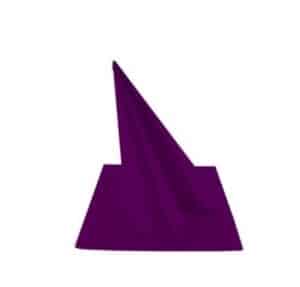 SERVIETTE CELISOFT VOIE SECHE  40x40CM | PRUNE