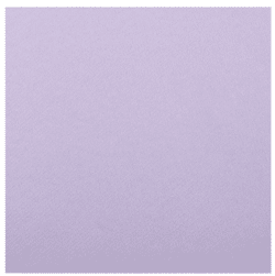 SOP6006