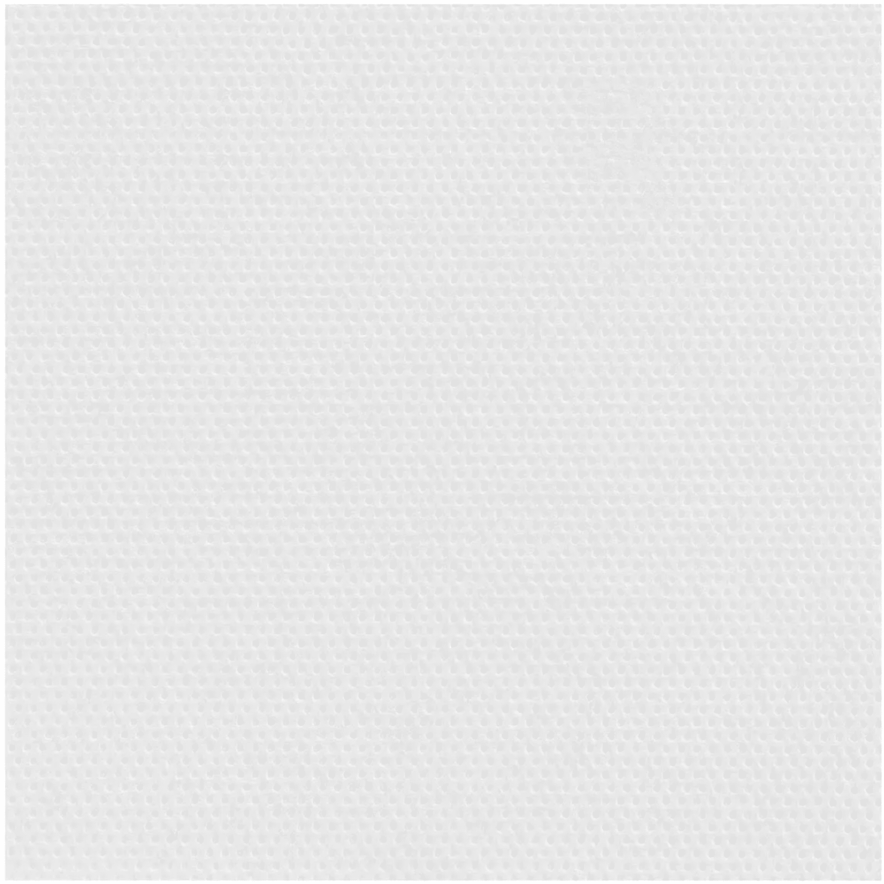 SERVIETTES CELI-OUATE 2 PLIS | BLANCHE | 20x20CM