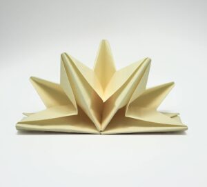 SERVIETTES CELI'D ETOILE IVOIRE