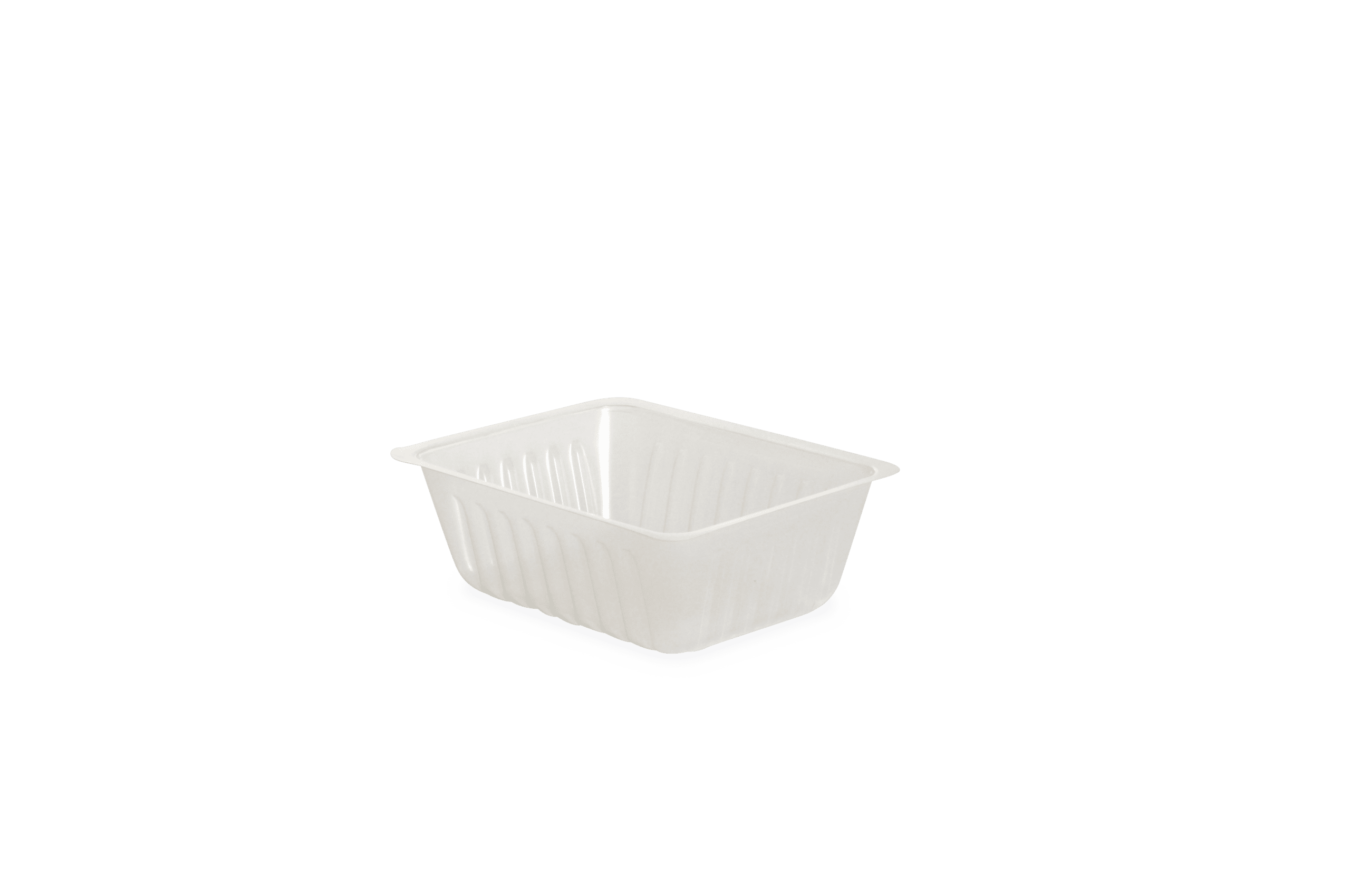 BARQUETTES FRITES | TRANSLUCIDE | SANS COUVERCLE